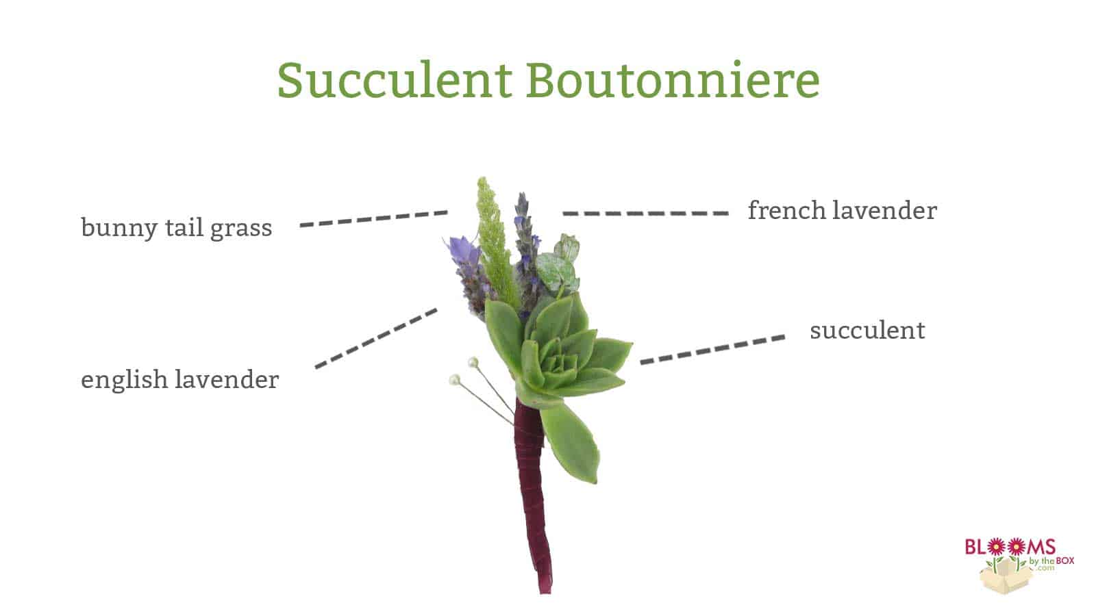 succulent boutonniere