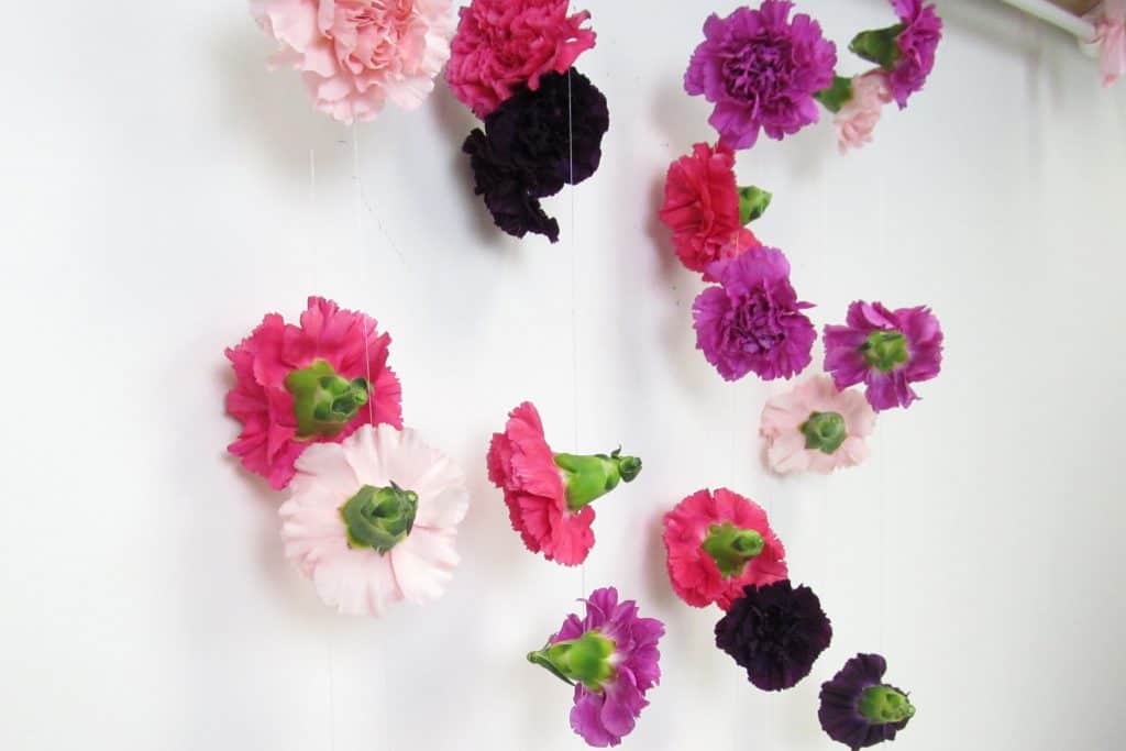 Maximize your DIY budget with a carnation curtain!