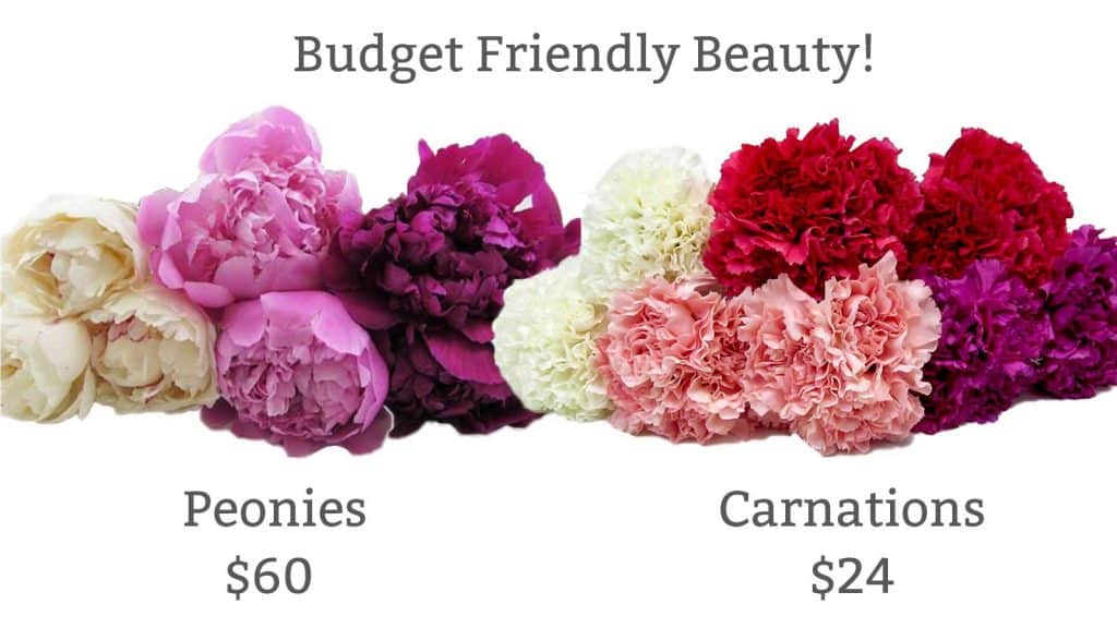 Maximize your DIY budget by turning carnations into faux-peonies!