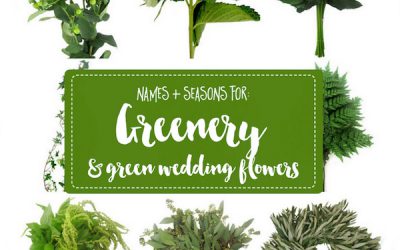Greenery Blooms Feature on Confetti Day Dreams