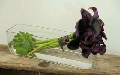 Calla Lily and Succulent How To Video With Eddie Zaratsian