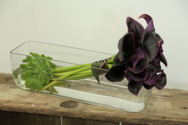 Calla Lily and Succulent How To Video With Eddie Zaratsian