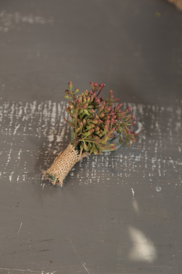 Succulent Boutonnieres, DIY, Eddie Zaratsian, DIY Wedding, DIY Wedding Floral Succulent Boutonnieres, DIY, Eddie Zaratsian, DIY Wedding, DIY Wedding Floral