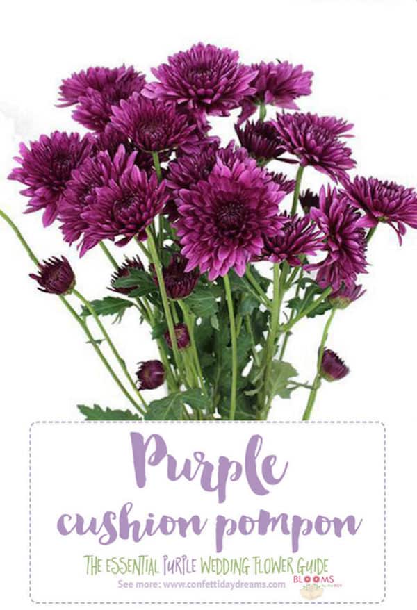 Purple Cushion Pompon