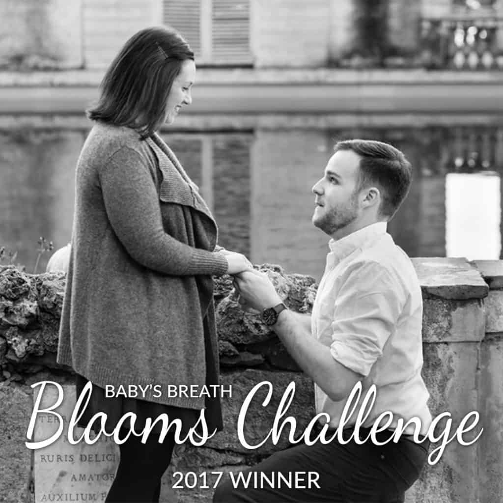 Baby’s Breath Blooms Challenge Spring 2017 – WINNER
