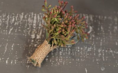 Piecing Together Your DIY Succulent Boutonnieres