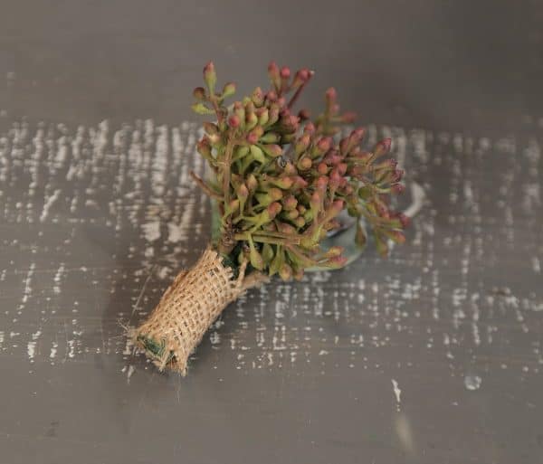 Piecing Together Your DIY Succulent Boutonnieres