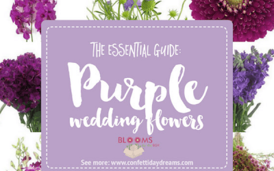 Your Go-To Purple Wedding Flowers Guide on Confetti Day Dreams