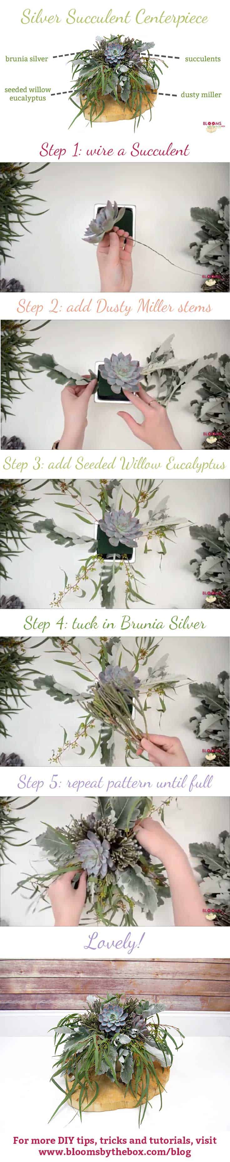 DIY Silver Succulent Centerpiece
