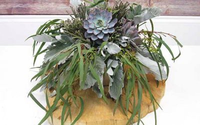 DIY Silver Succulent Centerpiece