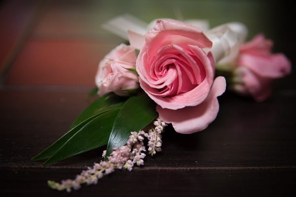 San Diego Wedding, San Diego Zoo, San Diego Wedding Magazine, DIY Wedding Flowers, Eco-Friendly Wedding