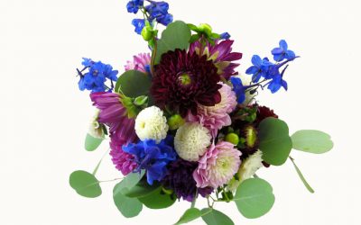 DIY Berry Dahlia Centerpiece