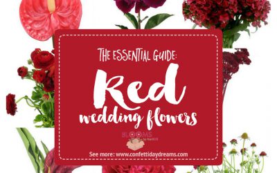 Dreaming of Red by Confetti Day Dreams