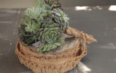 Create your Own DIY Succulent Bouquet