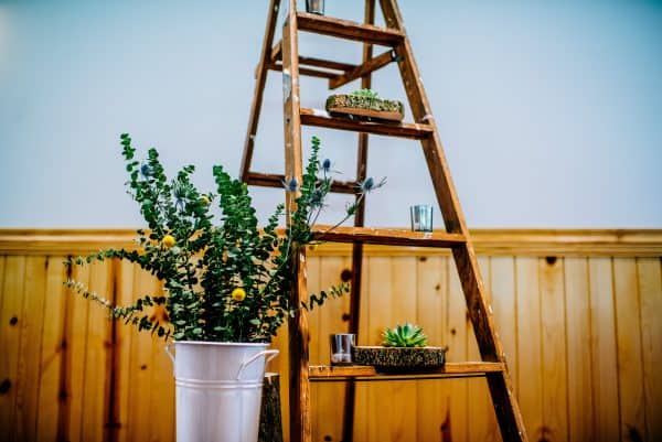 Earthy Wedding, Outdoor Wedding, DIY Flowers, DIY Centerpiece, DIY Decor, National Park Wedding