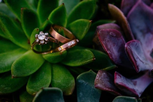 Earthy Wedding, Outdoor Wedding, DIY Flowers, DIY Centerpiece, DIY Decor, National Park Wedding