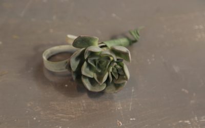 Wedding Green Goodness with DIY Air Plant and Succulent Boutonniere