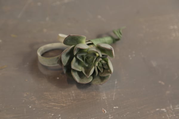 Wedding Green Goodness with DIY Air Plant and Succulent Boutonniere