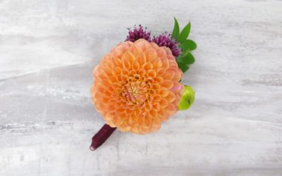 DIY Sunset Dahlia Boutonniere