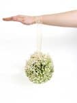 Hand holding baby's breath ball
