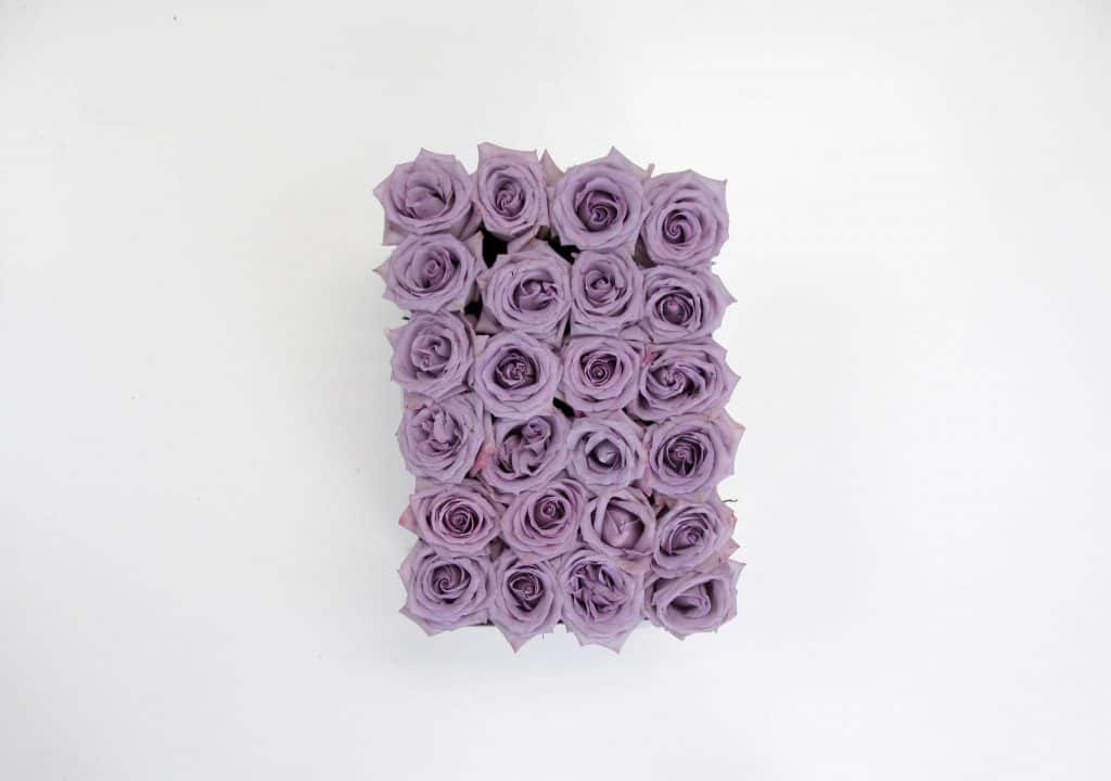 lavender rose box