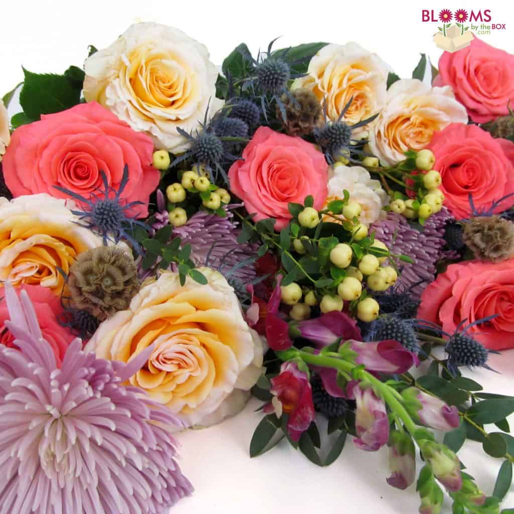 peach yellow and purple flowers for susnset desert pack