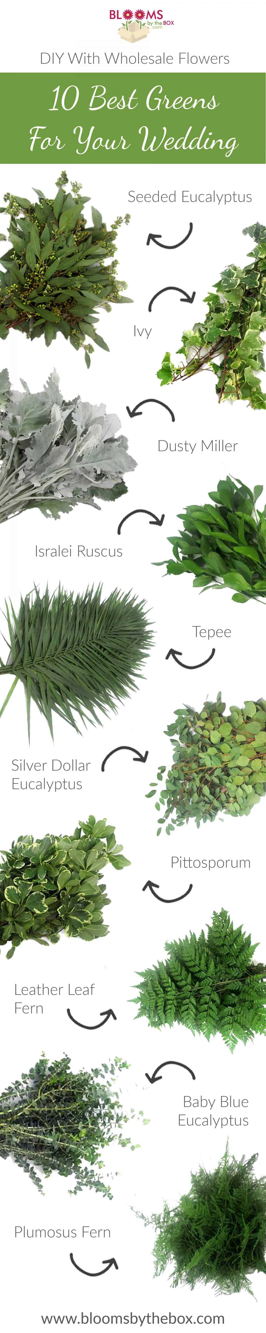 10 Best Greens For Your Wedding Blooms By The Box