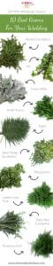Blooms By the Box wedding Greens Guide