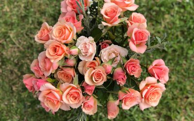Product Spotlight: NEW In-Stock Pink Roses!