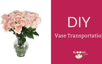 How To Transport Your Vases