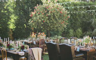 Backyard Wedding Ideas