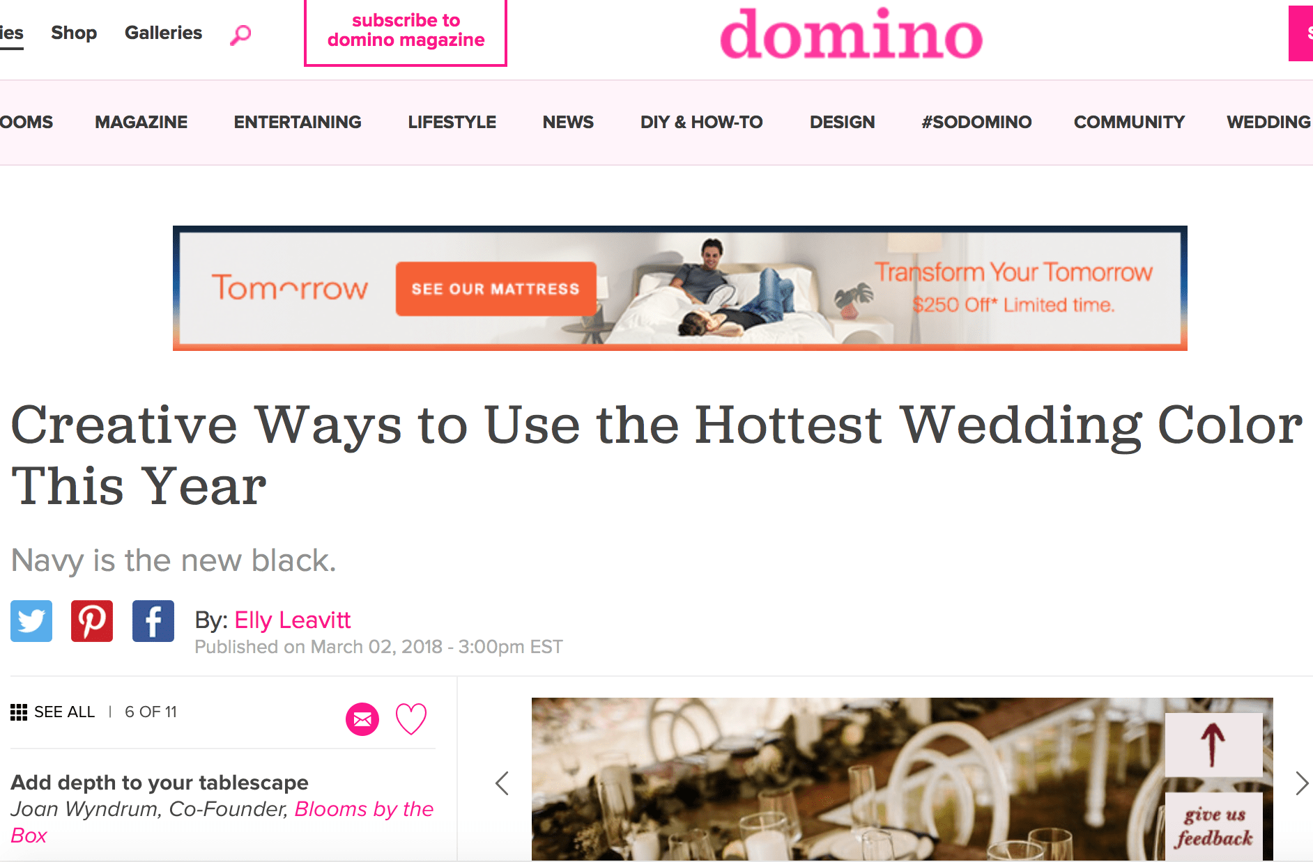 screenshot of domino website