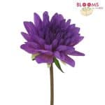 lavendar dahlia flower