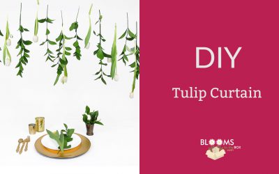 Dreamy DIY Tulip Curtain