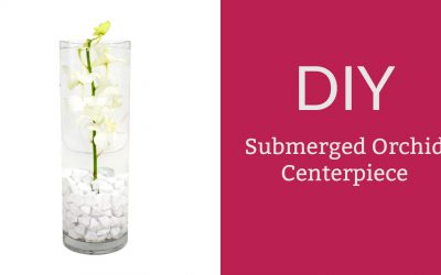 DIY Submerged Orchid Centerpiece