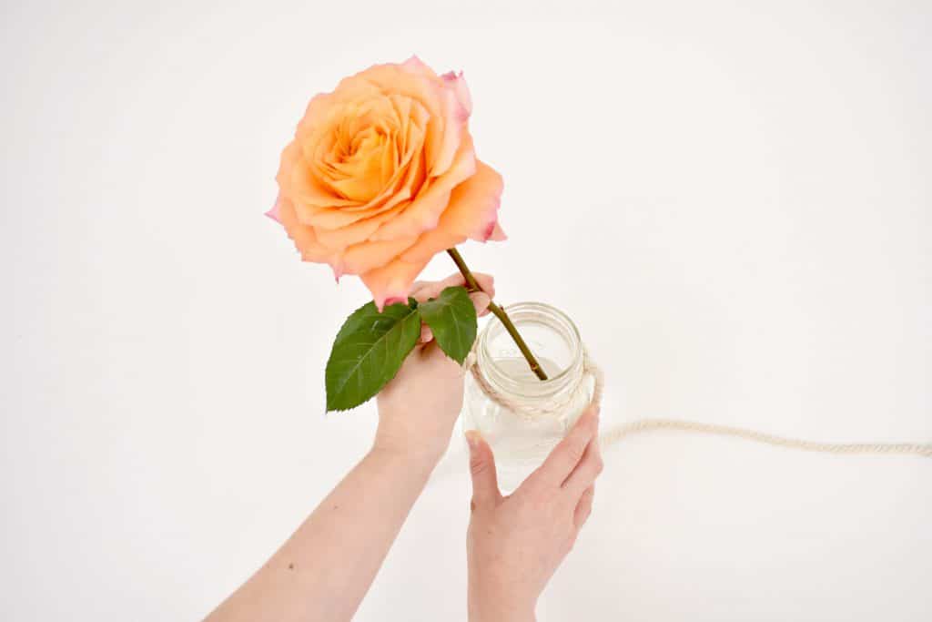 adding peach carnations to mason jar