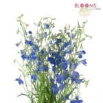 Romantic Rustic Wedding Blue delphinium