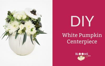 How To Make A White Pumpkin Centerpiece