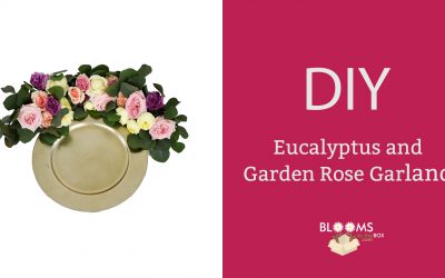 DIY Eucalyptus and Garden Rose Garland