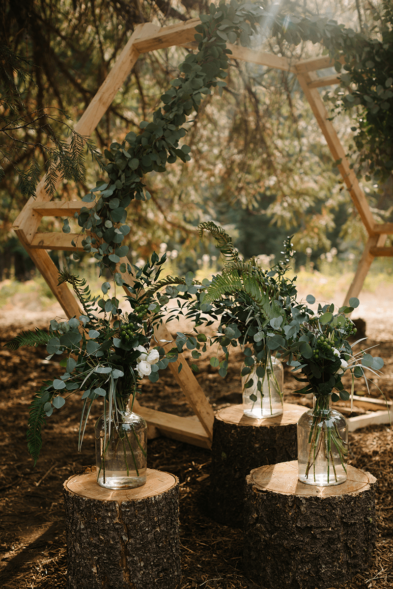 stumps with jars on top them with greens in the jars