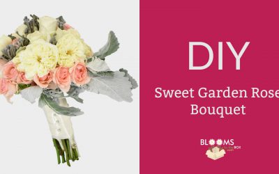 Sweet Garden Rose Bouquet