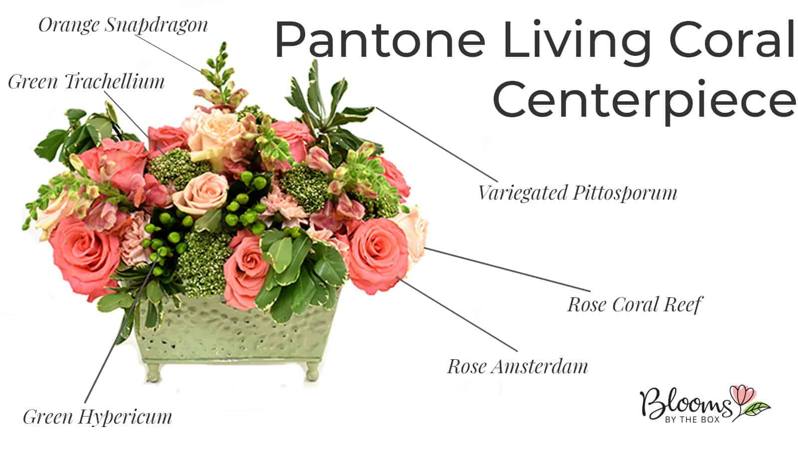 Living Coral Centerpiece with orange snapdragon, pittosporum, Trachellium, Coral rose, rose amsterdam, green hypericum 