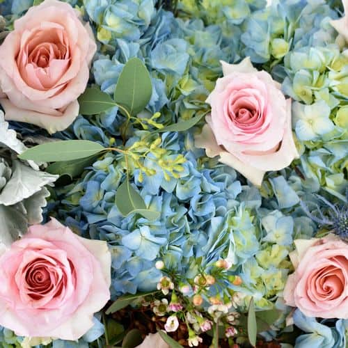 peach roses and blue hydrangeas