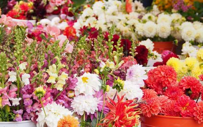Save Money on Wedding Flowers Featured on Emmaline Bride