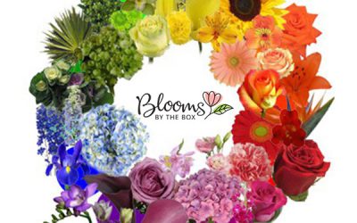 Using The Color Wheel