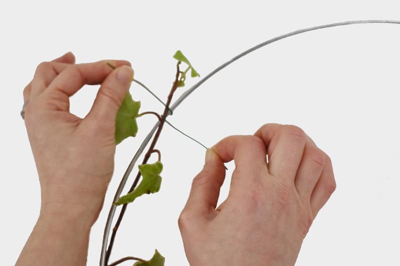 Securing Ivy with Floral Wire