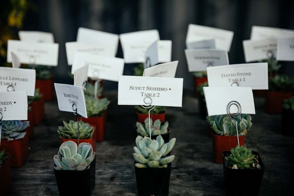 placecards with green succulents