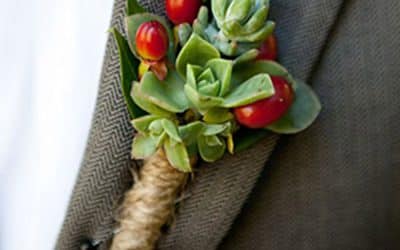Classic Hypericum Berries