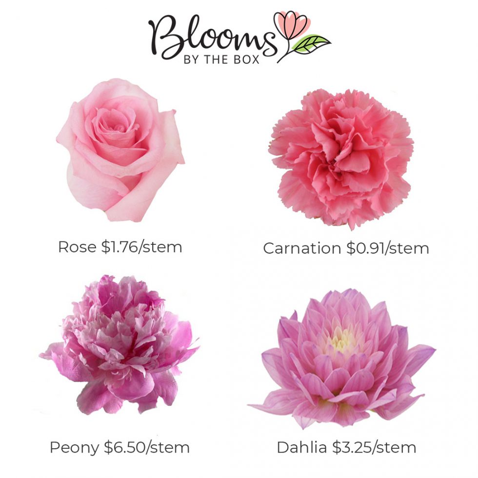 3 Reasons to love carnations Blooms By The Box