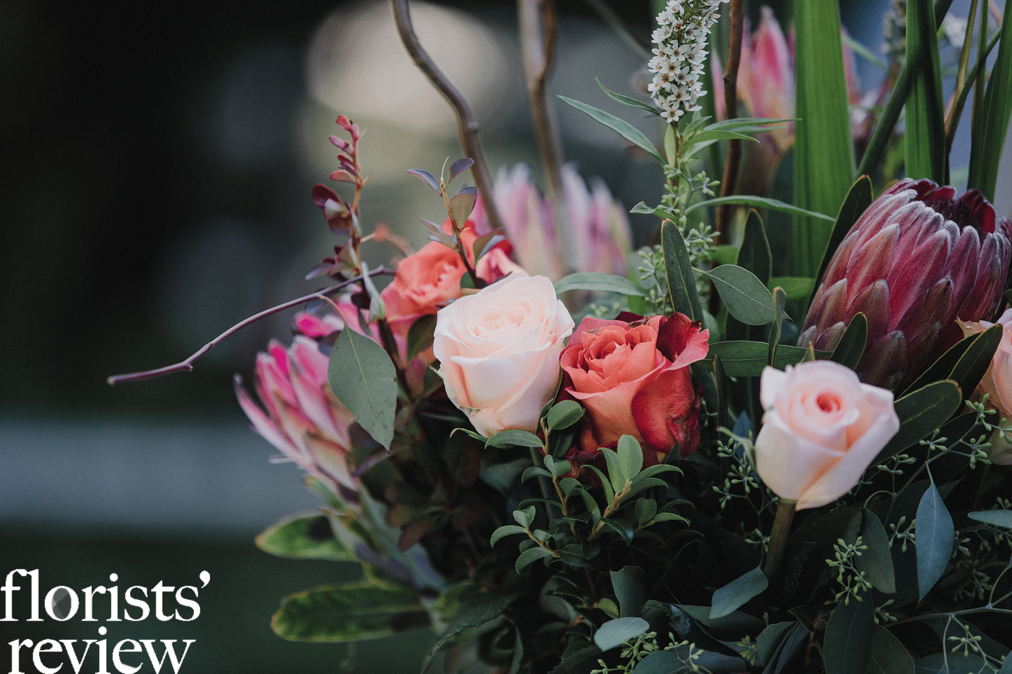 burgundy, coral and pink flowers